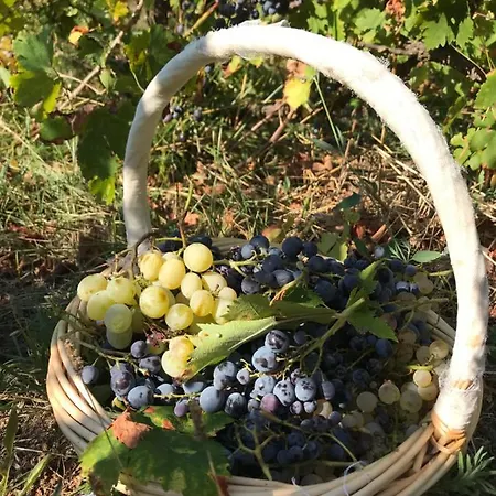 Superbe Bas De Villaix *